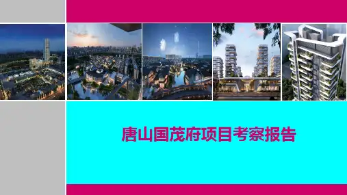 唐山国茂府考察报告