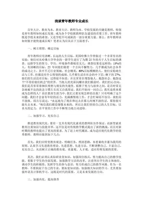 浅谈青年教师专业成长
