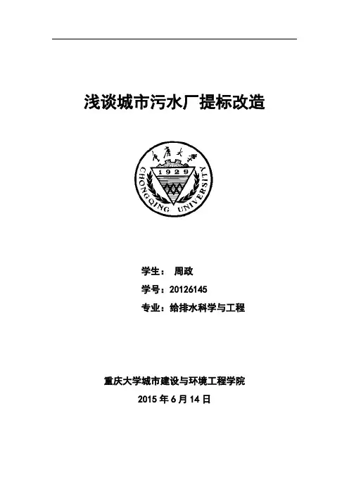 提标改造【范本模板】