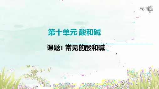 10.1常见的酸和碱课件--九年级化学人教版下册