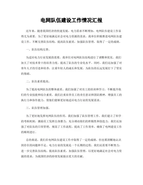 电网队伍建设工作情况汇报