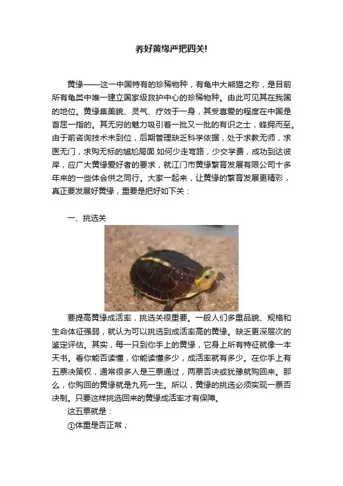 养好黄缘严把四关!