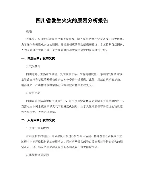 四川省发生火灾的原因分析报告