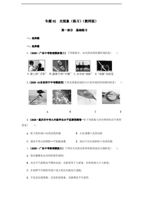 专题02 光现象(练习)(教师版)
