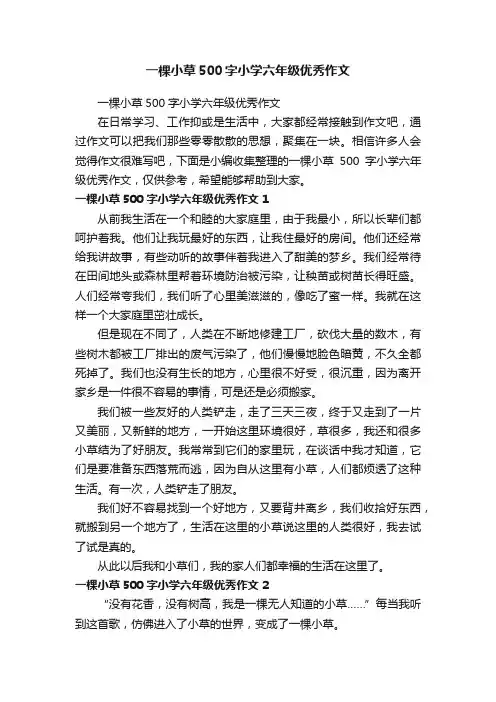 一棵小草500字小学六年级优秀作文