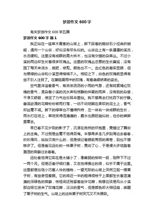 有关梦游作文600字五篇