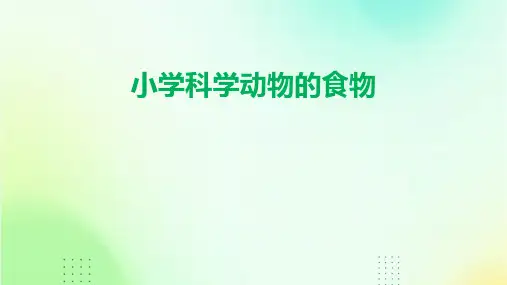 小学科学动物的食物