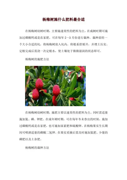 杨梅树施什么肥料最合适