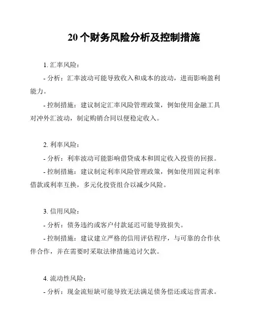 20个财务风险分析及控制措施