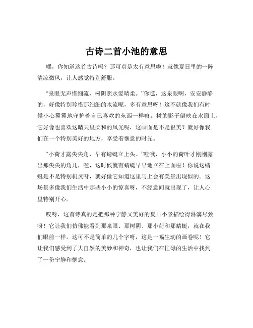 古诗二首小池的意思