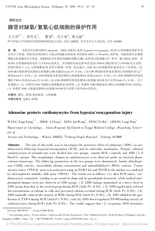 腺苷对缺氧_复氧心肌细胞的保护作用