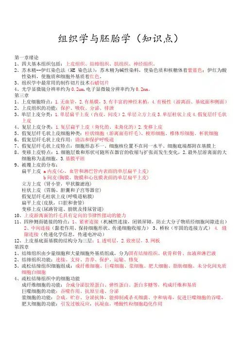 组织学及胚胎学知识点