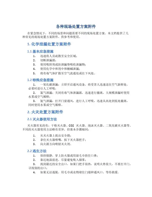 各种现场处置方案