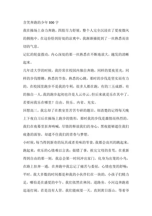 含笑奔跑的少年800字