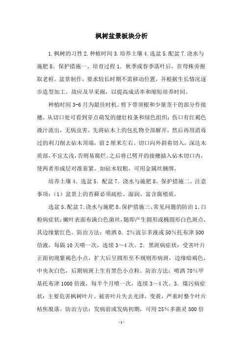 枫树盆景板块分析