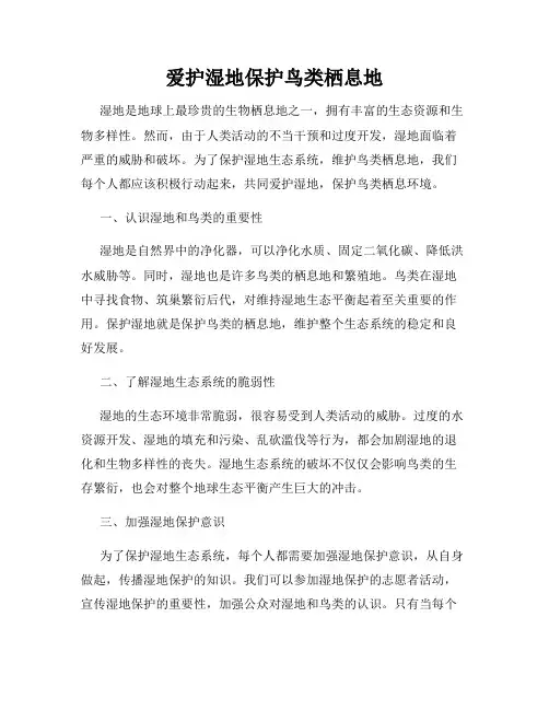 爱护湿地保护鸟类栖息地
