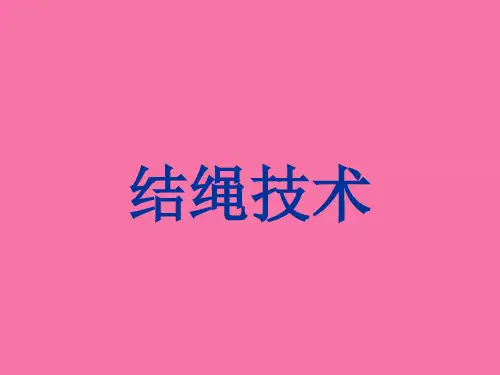 结绳技术ppt课件