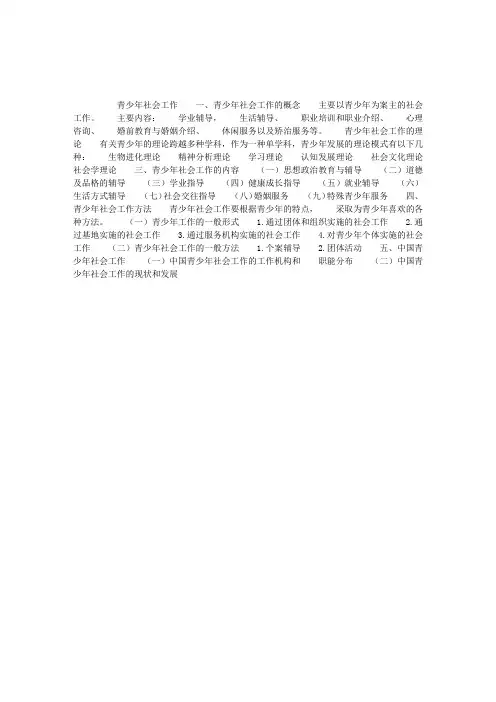 初级社会工作实务：青少年社会工作