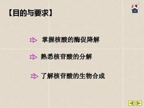 核酸降解和核苷酸代谢