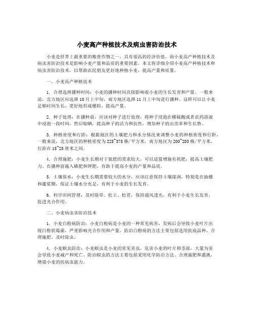 小麦高产种植技术及病虫害防治技术
