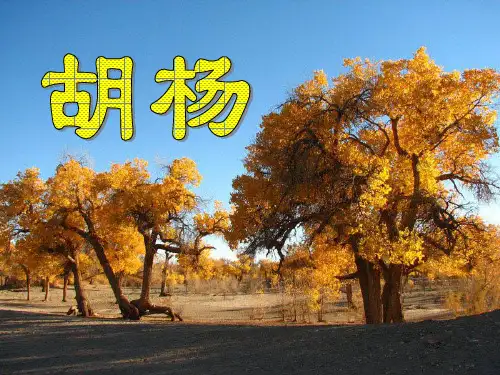 2015春湘教版语文六下《胡杨》ppt课件