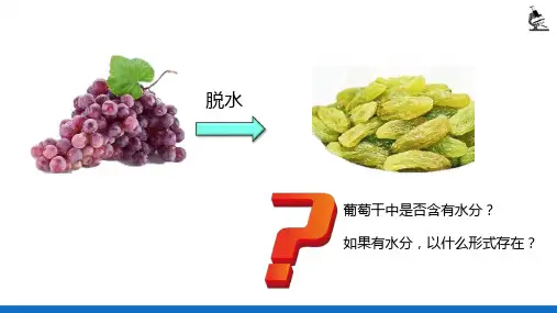 食品中一般成分的测定—食品中水分的测定(理化检验技术)
