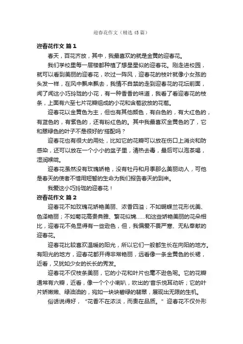 迎春花作文（精选45篇）
