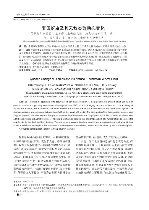 麦田蚜虫及其天敌类群动态变化