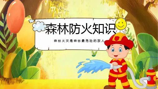 初中主题班会森林防火知识 课件 (共23张PPT).ppt