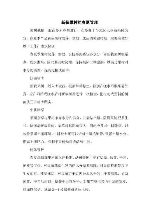 新栽果树的春夏管理