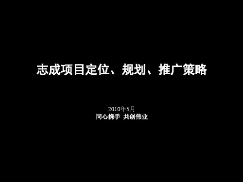 商业综合体项目营销策略(终稿).pptx
