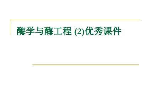 酶学与酶工程 (2)优秀课件