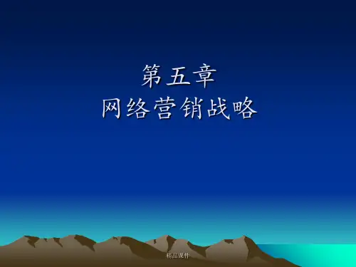 第五章网络营销战略ppt课件