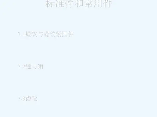 机械制图-标准件和常用件