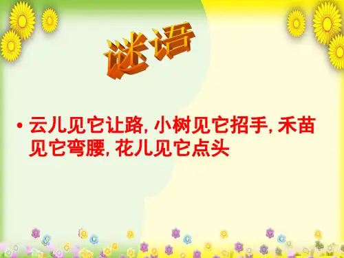 (青岛版)小学科学三下《 风的形成》PPT课件(同课异构) (2)