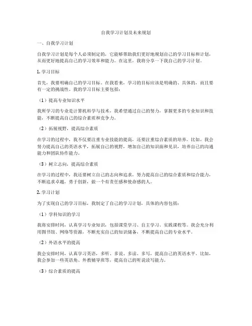 自我学习计划及未来规划