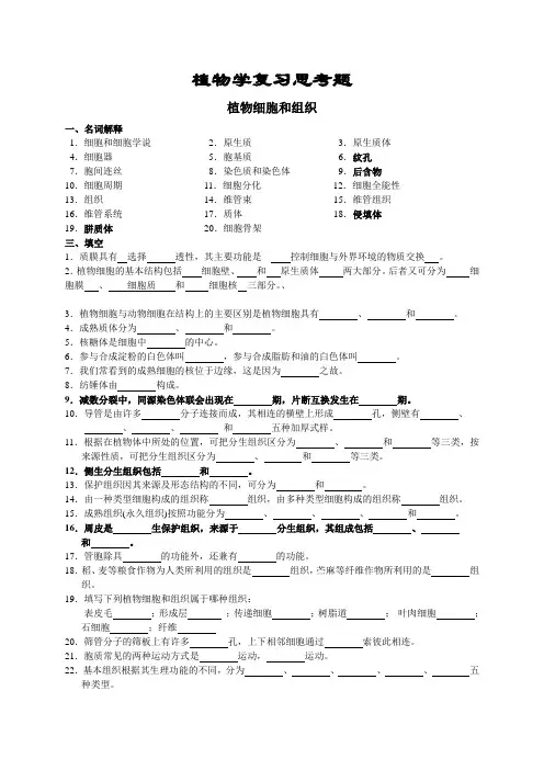 植物学复习试题及答案