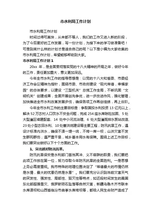 市水利局工作计划