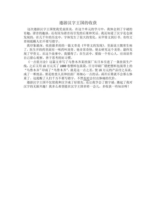 遨游汉字王国的收获