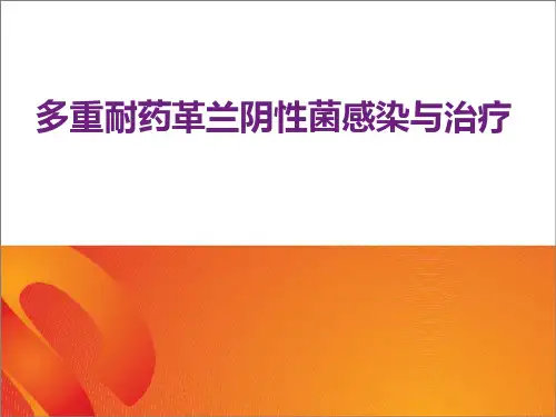 多重耐药革兰阴性菌感染与治疗