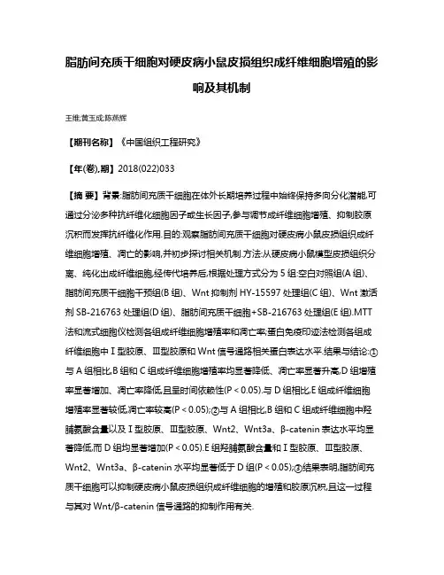 脂肪间充质干细胞对硬皮病小鼠皮损组织成纤维细胞增殖的影响及其机制