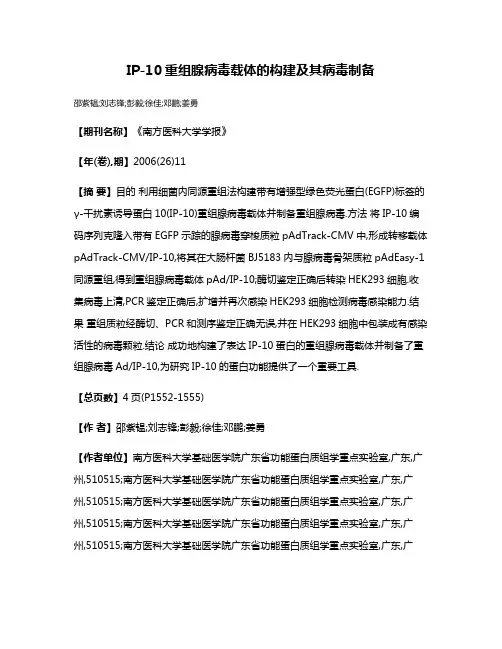 IP-10重组腺病毒载体的构建及其病毒制备