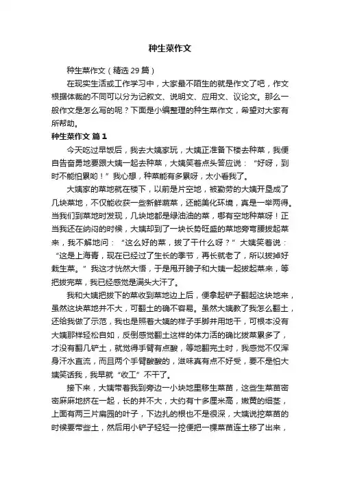 种生菜作文