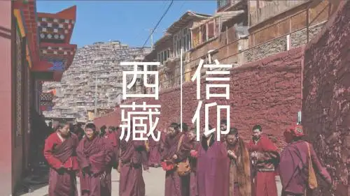 西藏文化西藏建筑藏药唐卡PPT