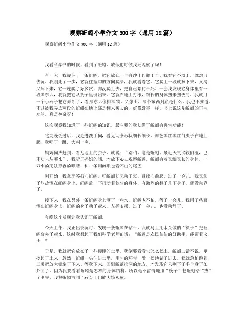 观察蚯蚓小学作文300字(通用12篇)