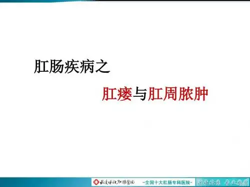 肛瘘与肛周脓肿-PPT精选文档