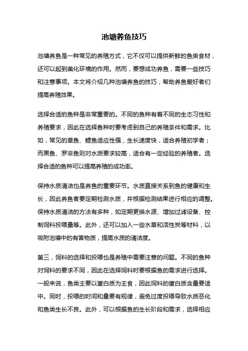 池塘养鱼技巧
