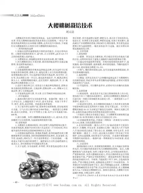 大樱桃树栽培技术