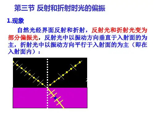 13-2布鲁斯特