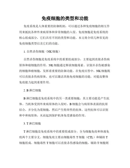 免疫细胞的类型和功能